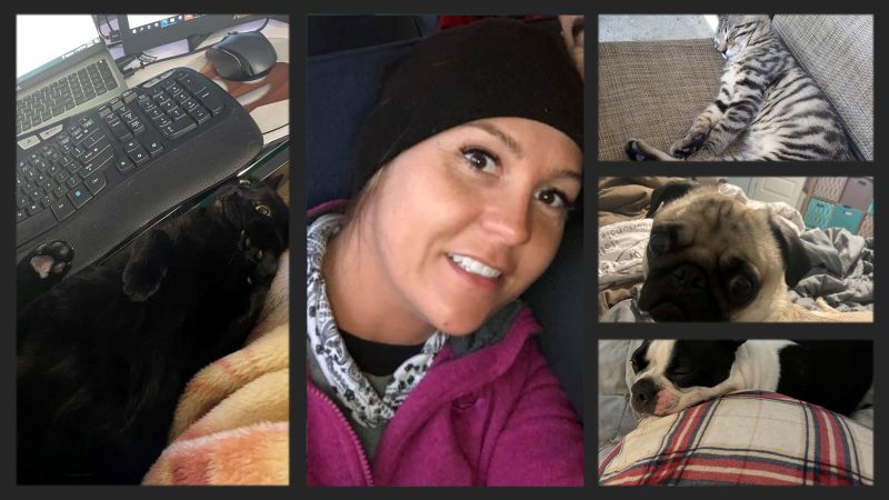 Central portrait of the wife smiling, surrounded by four household pets: a black cat lying on a blanket beside a keyboard, a tabby cat stretched on a couch, a pug looking up from a bed, and a black and white dog resting its head on a plaid pillow. Collage arranged on a dark indoor background; no visible text. Warm, relaxed, affectionate tone.