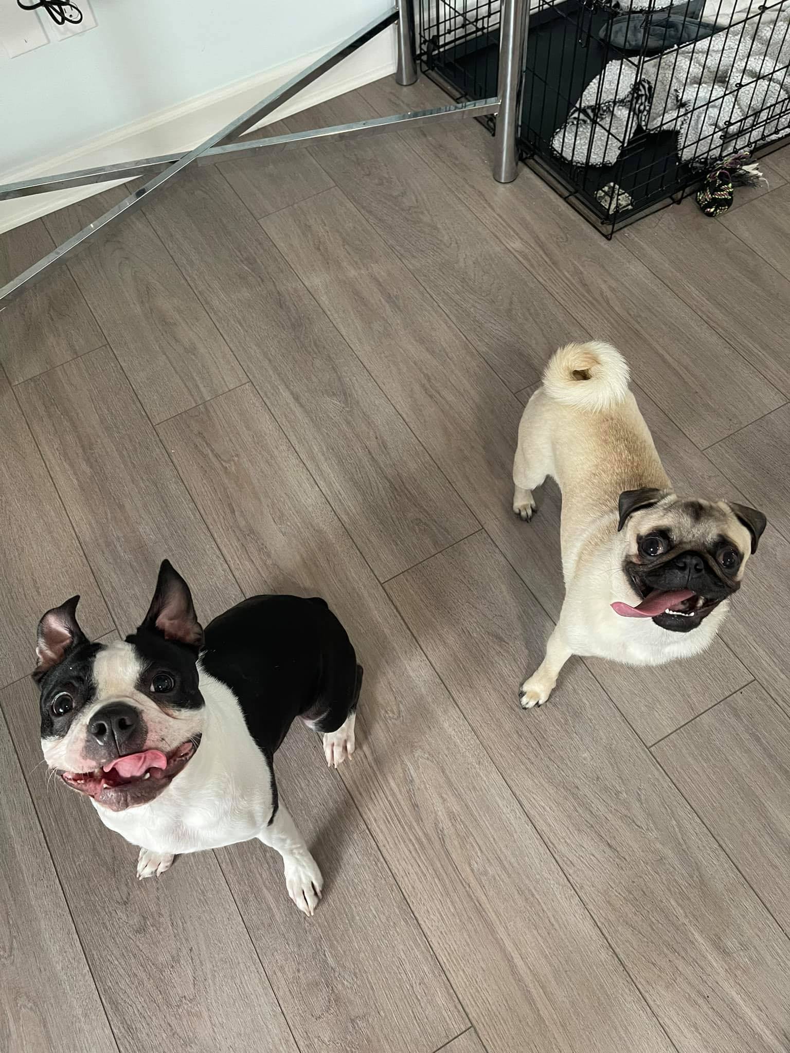 Ocean City, Maryland vacation photo 3